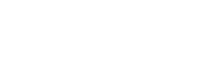 Apple Business Partner